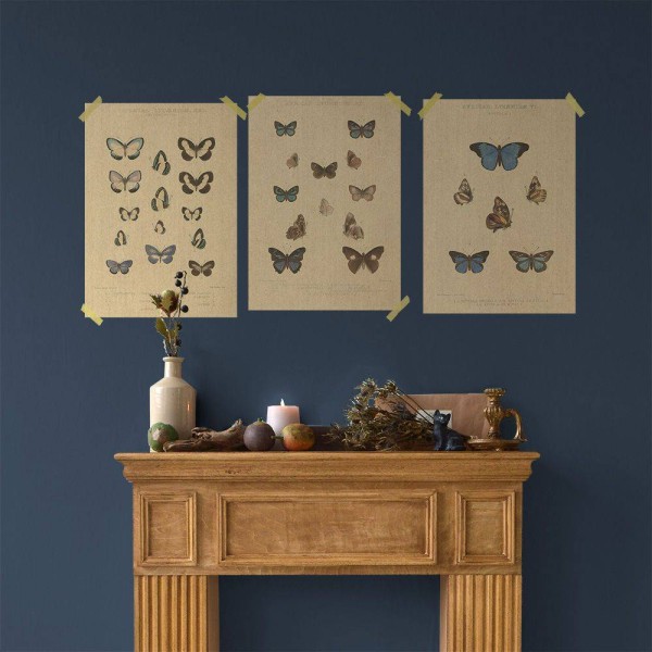 Flax Art Poster | Encyclopedia Butterfly A | FWP-AP-EN2A